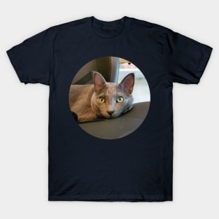 Mace the Streamer Cat T-Shirt